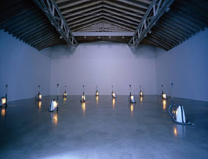 Celeste Boursier-Mougenot's Harmonichaos (Paula Cooper, 2006)