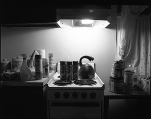 LaToya Ruby Frazier's Grandma Ruby's Stove (Collette Blanchard, 2009)