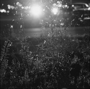 Robert Adams's Longmont, Colorado (Matthew Marks, 1980)