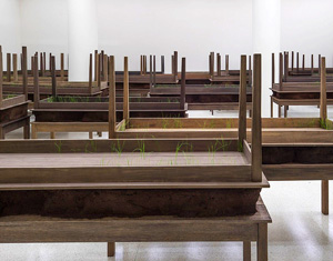 Doris Salcedo's Plegaria Muda (Alexander and Bonin, 2008–2010)