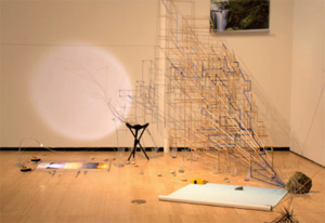 Sarah Sze's Infinite Line (Asia Society, 2011)