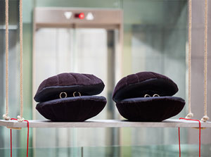 Cosima von Bonin's Scallops (Dark Version), Rocking (Petzel/SculptureCenter, 2014)